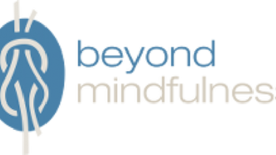 Is een mindfulness training in Amsterdam iets voor u?