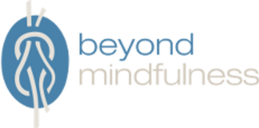 Is een mindfulness training in Amsterdam iets voor u?