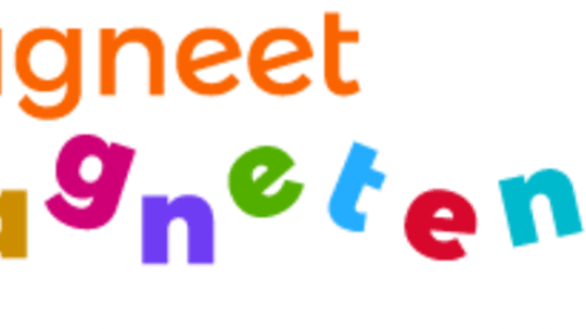 Wilt u met magneetverf aan de slag?